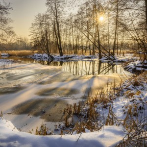 Теплое солнце морозного февраля